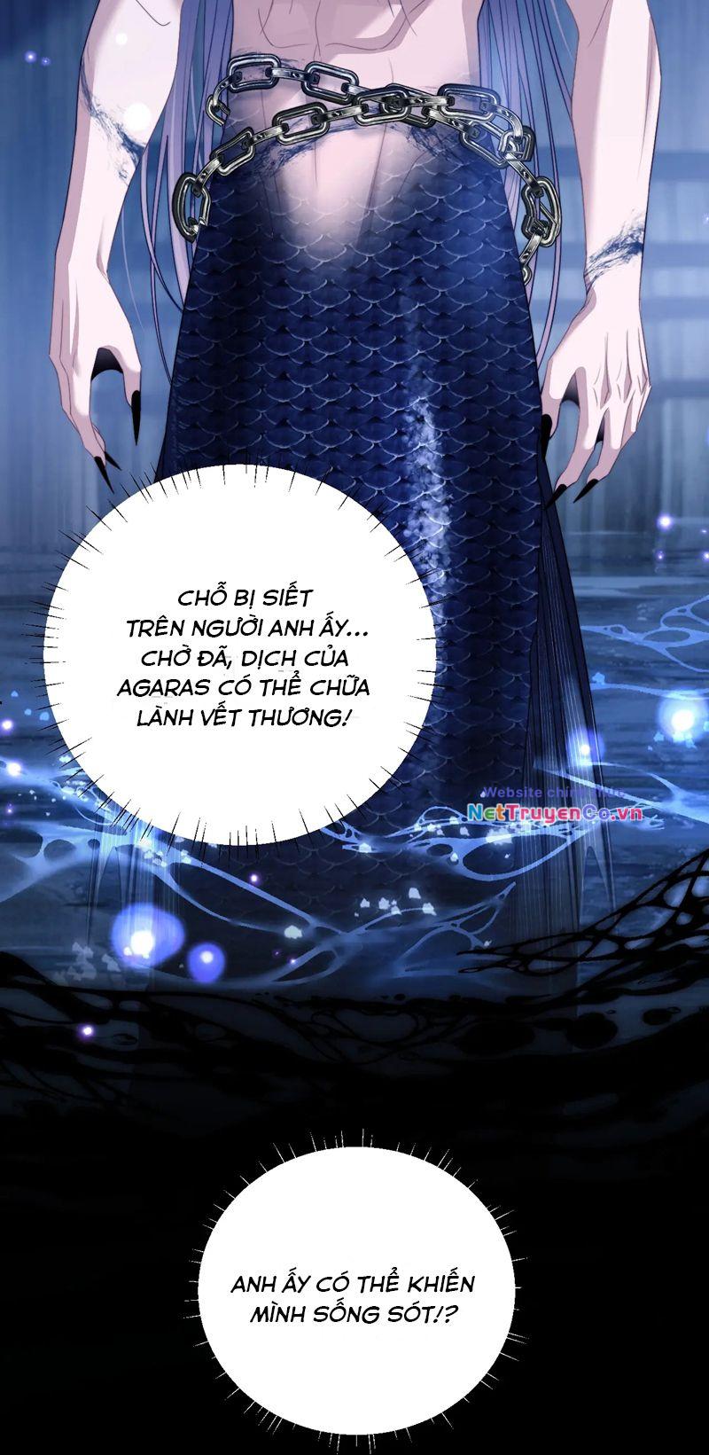 Desharow Nhân Ngư Chapter 25 - Trang 2