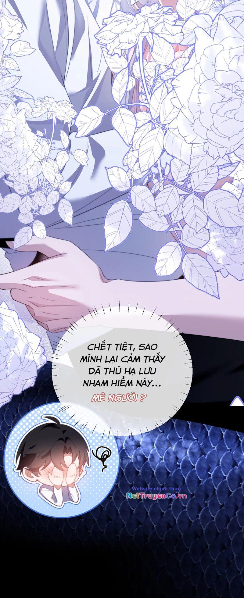 Desharow Nhân Ngư Chapter 26 - Trang 2