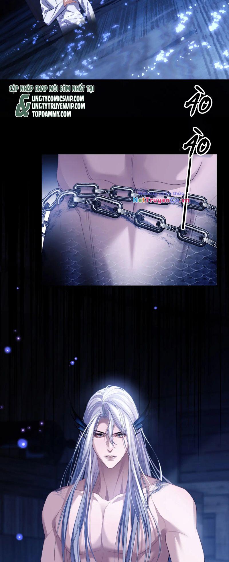 Desharow Nhân Ngư Chapter 26 - Trang 2