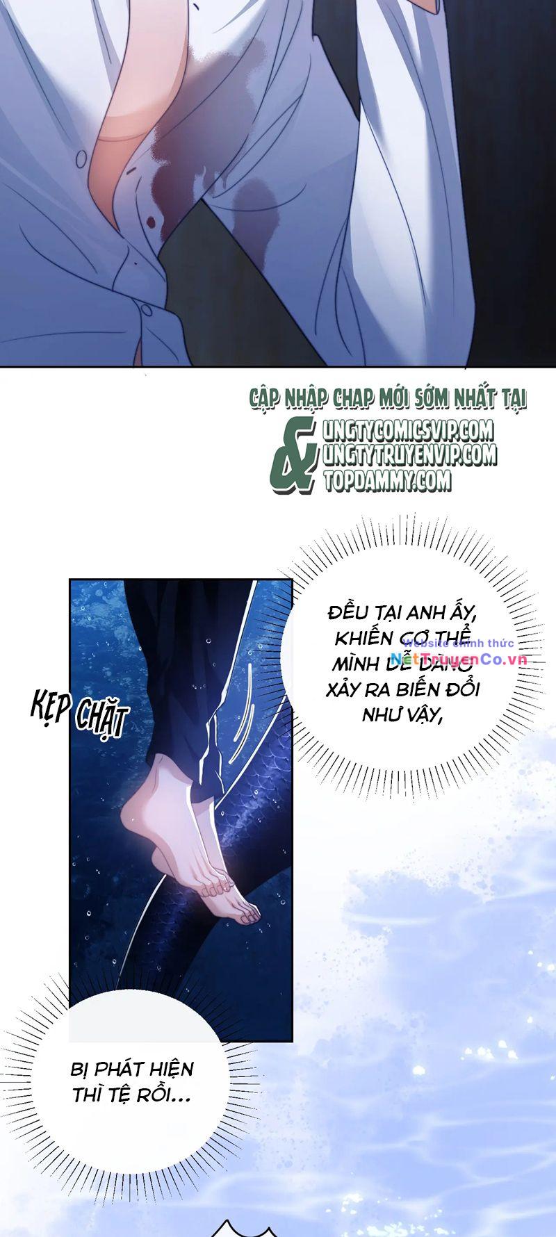 Desharow Nhân Ngư Chapter 26 - Trang 2