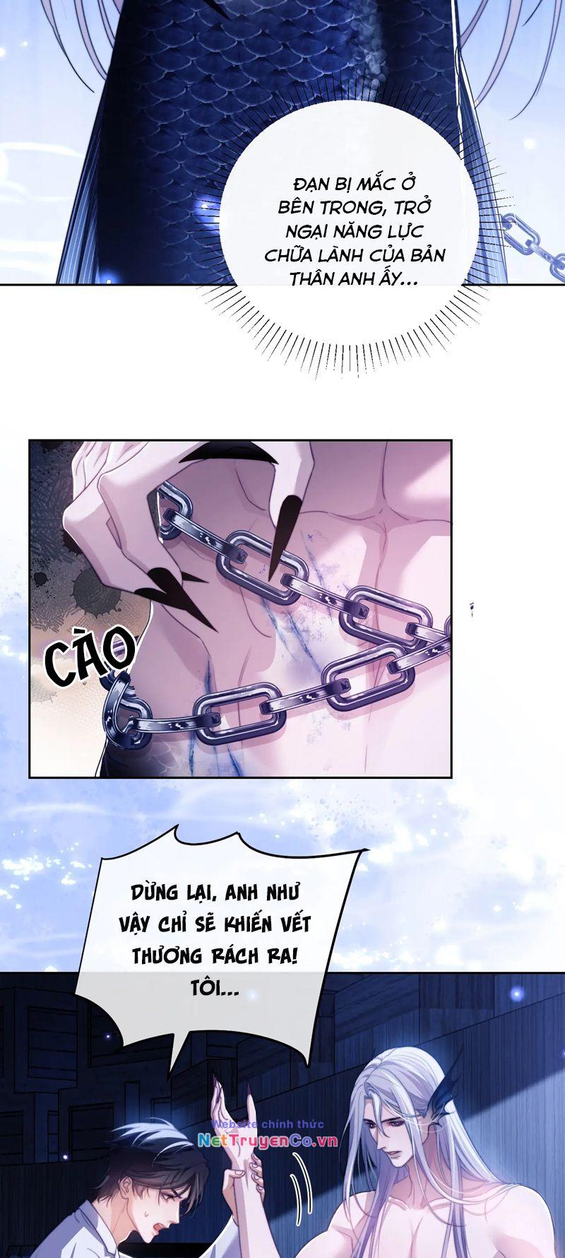 Desharow Nhân Ngư Chapter 26 - Trang 2