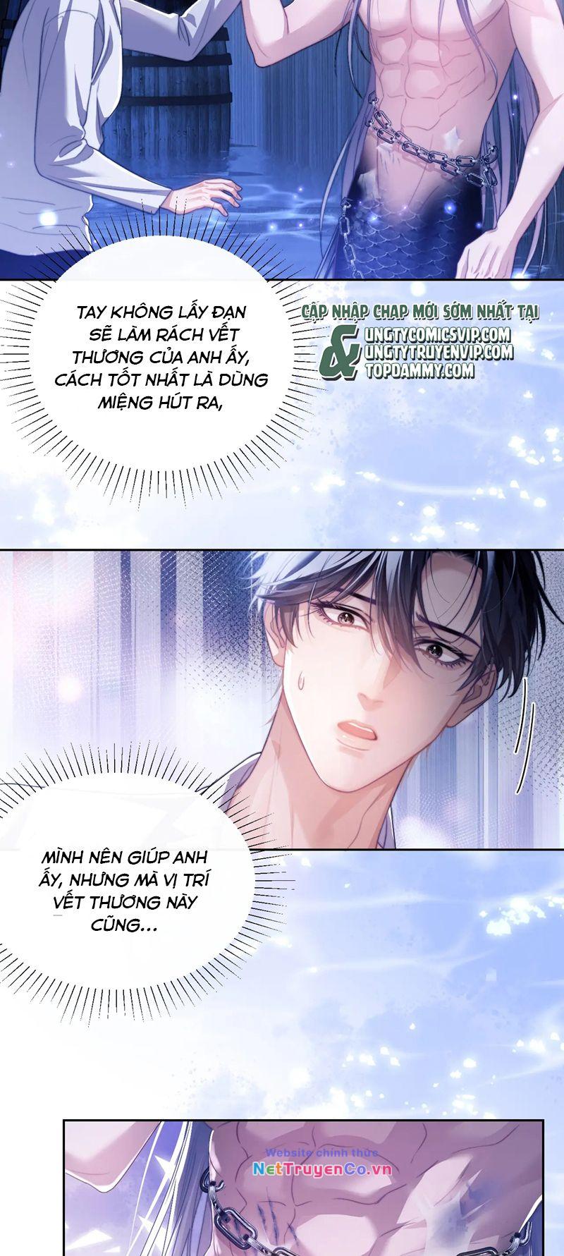 Desharow Nhân Ngư Chapter 26 - Trang 2