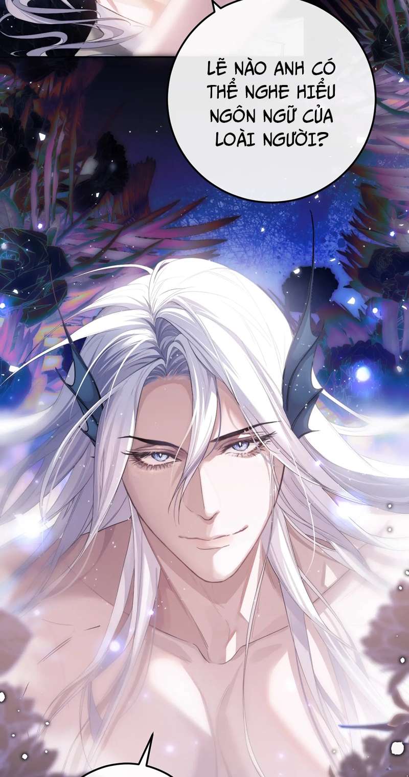 Desharow Nhân Ngư Chapter 3 - Trang 2