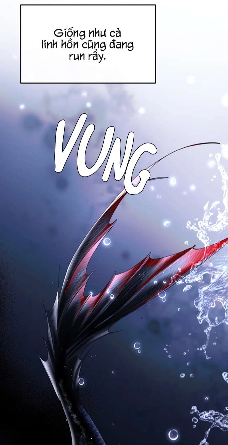 Desharow Nhân Ngư Chapter 3 - Trang 2