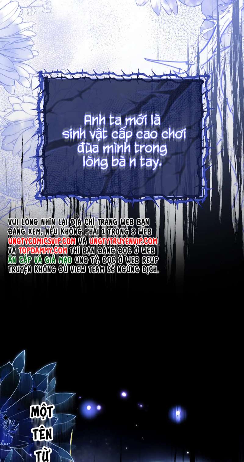 Desharow Nhân Ngư Chapter 3 - Trang 2