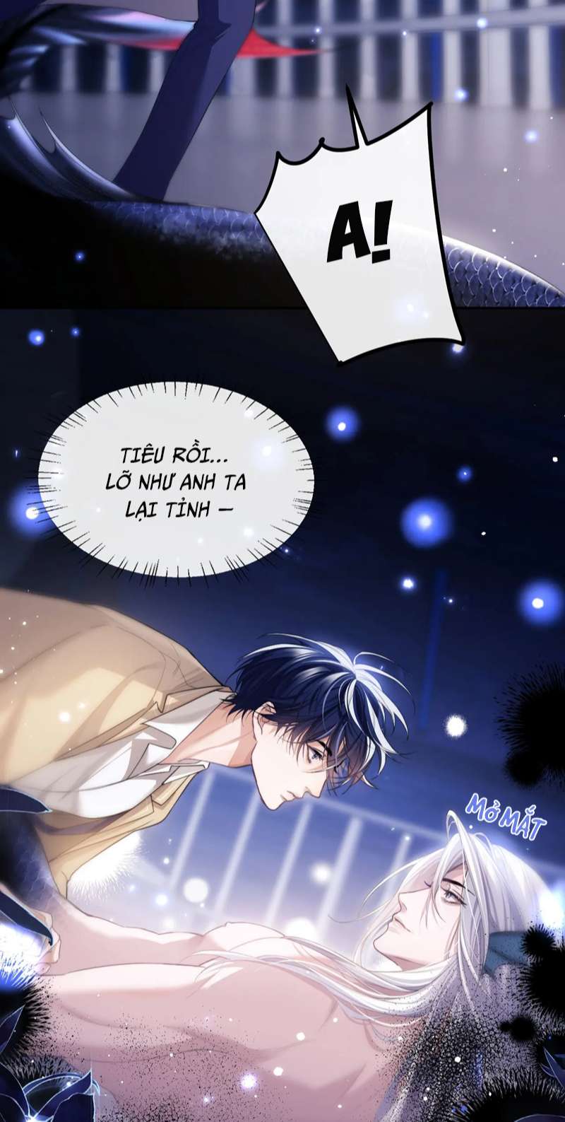 Desharow Nhân Ngư Chapter 3 - Trang 2