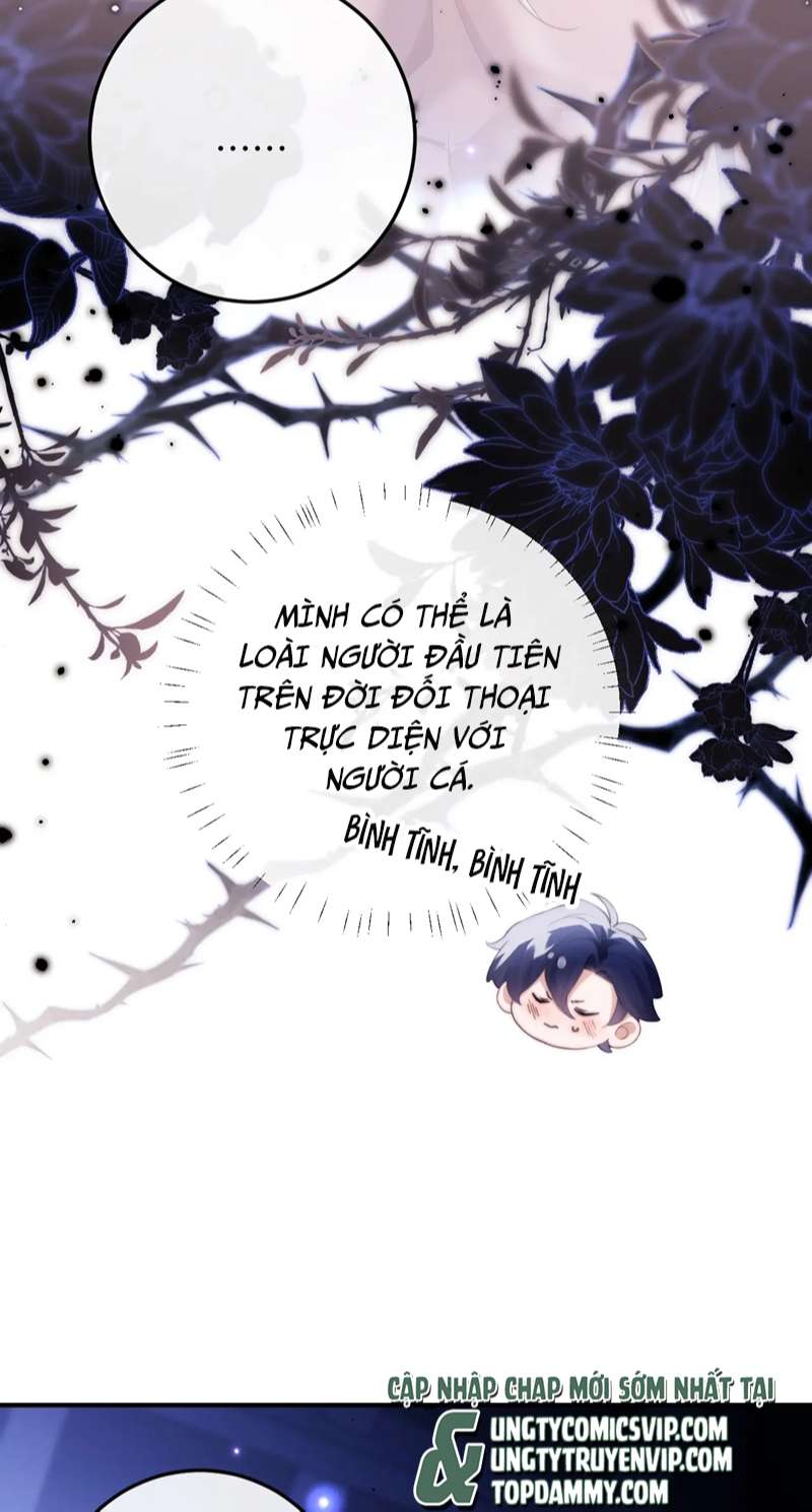 Desharow Nhân Ngư Chapter 3 - Trang 2