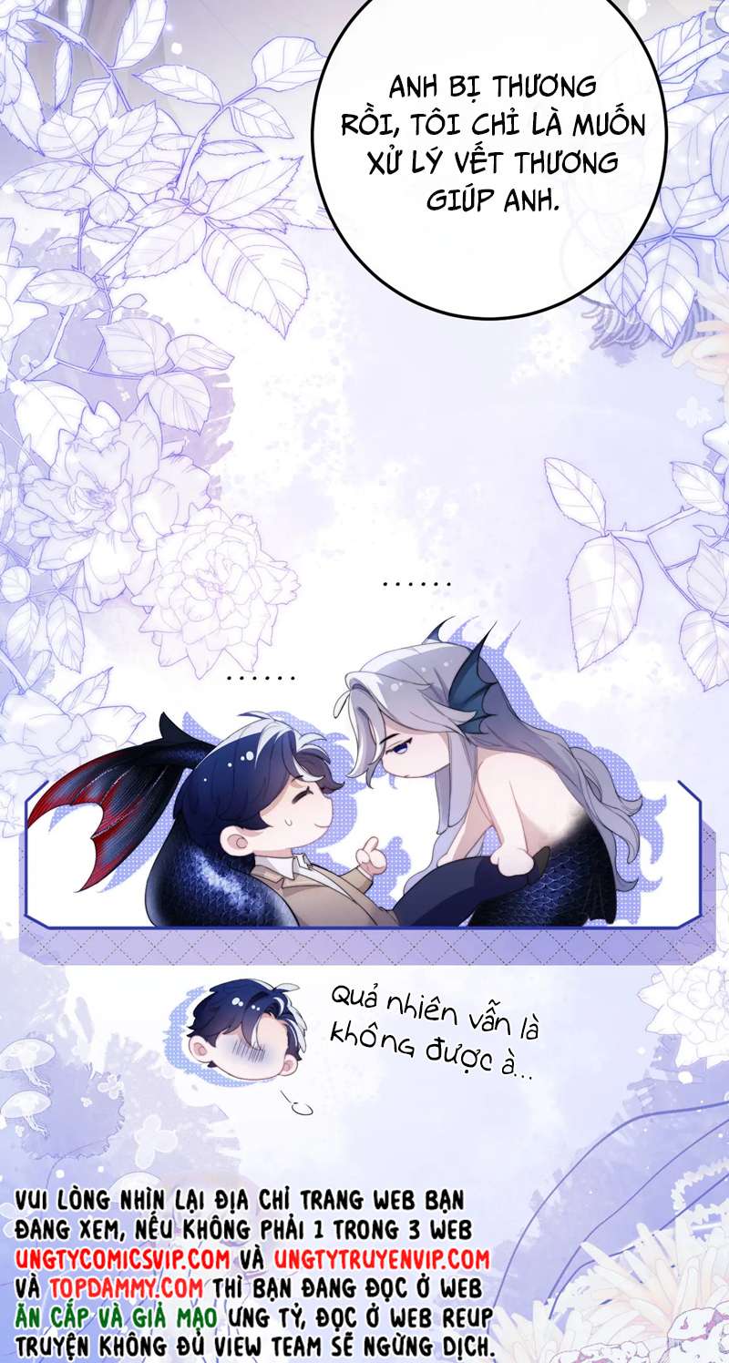 Desharow Nhân Ngư Chapter 3 - Trang 2