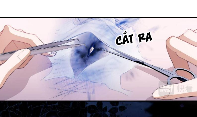 Desharow Nhân Ngư Chapter 4 - Trang 2