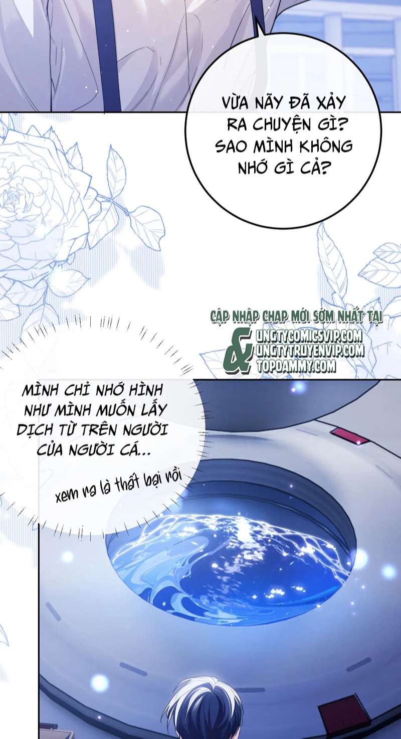 Desharow Nhân Ngư Chapter 5 - Trang 2