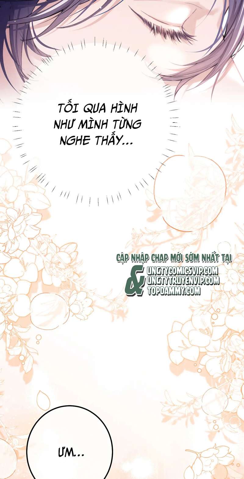 Desharow Nhân Ngư Chapter 5 - Trang 2