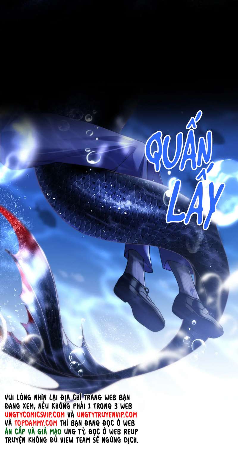 Desharow Nhân Ngư Chapter 5 - Trang 2