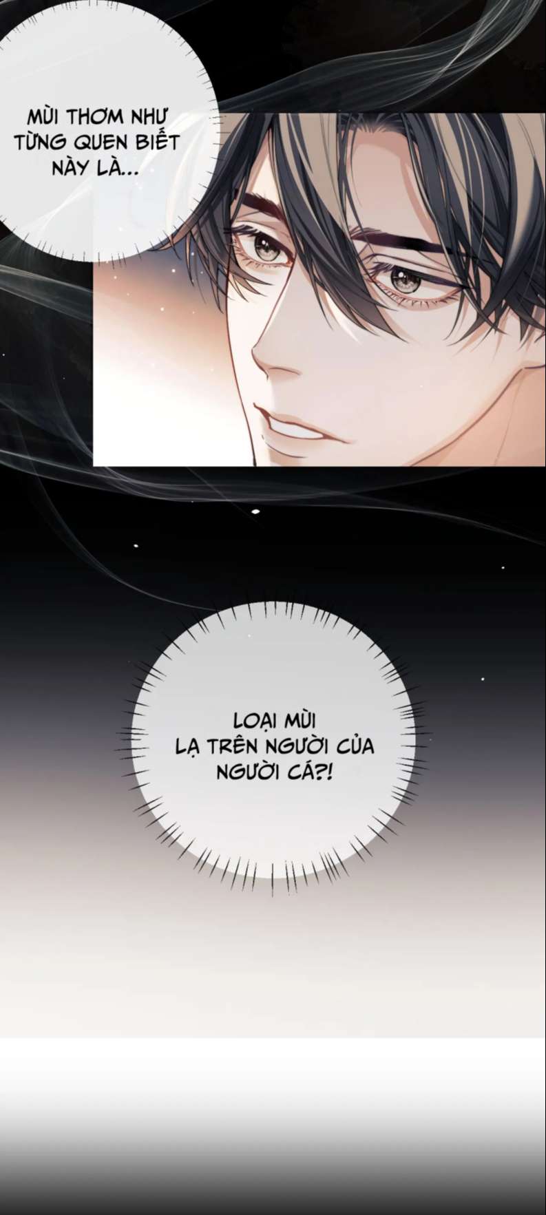 Desharow Nhân Ngư Chapter 6 - Trang 2