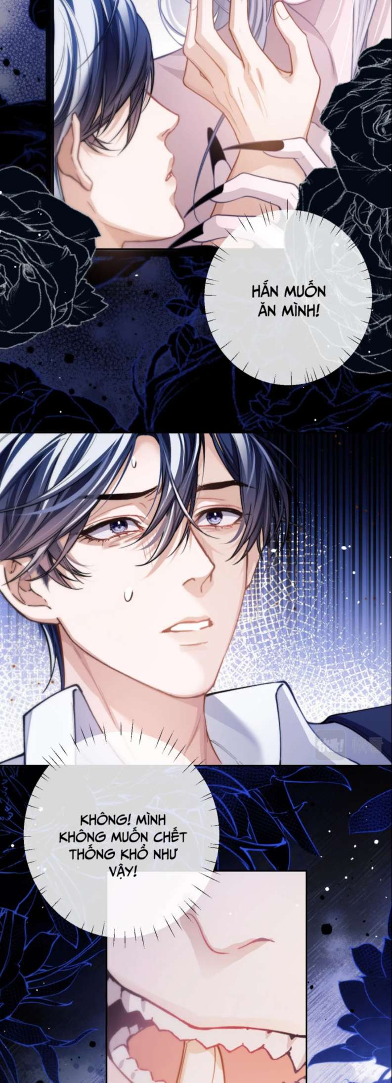 Desharow Nhân Ngư Chapter 7 - Trang 2