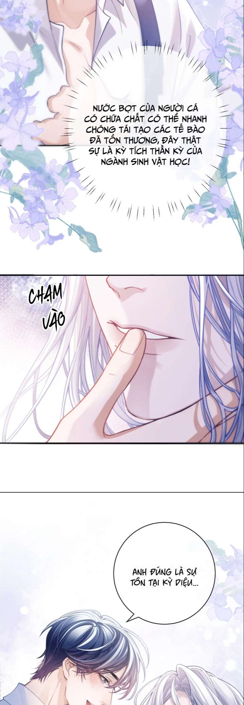 Desharow Nhân Ngư Chapter 7 - Trang 2