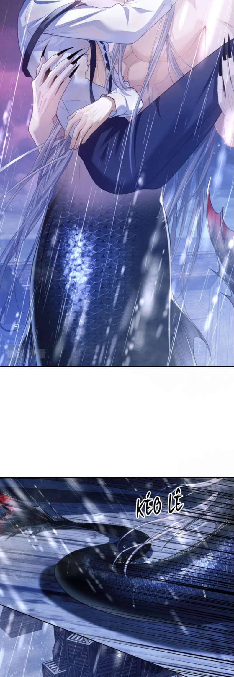 Desharow Nhân Ngư Chapter 7 - Trang 2