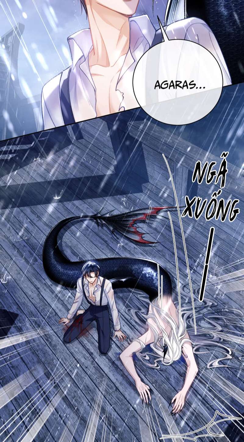 Desharow Nhân Ngư Chapter 8 - Trang 2