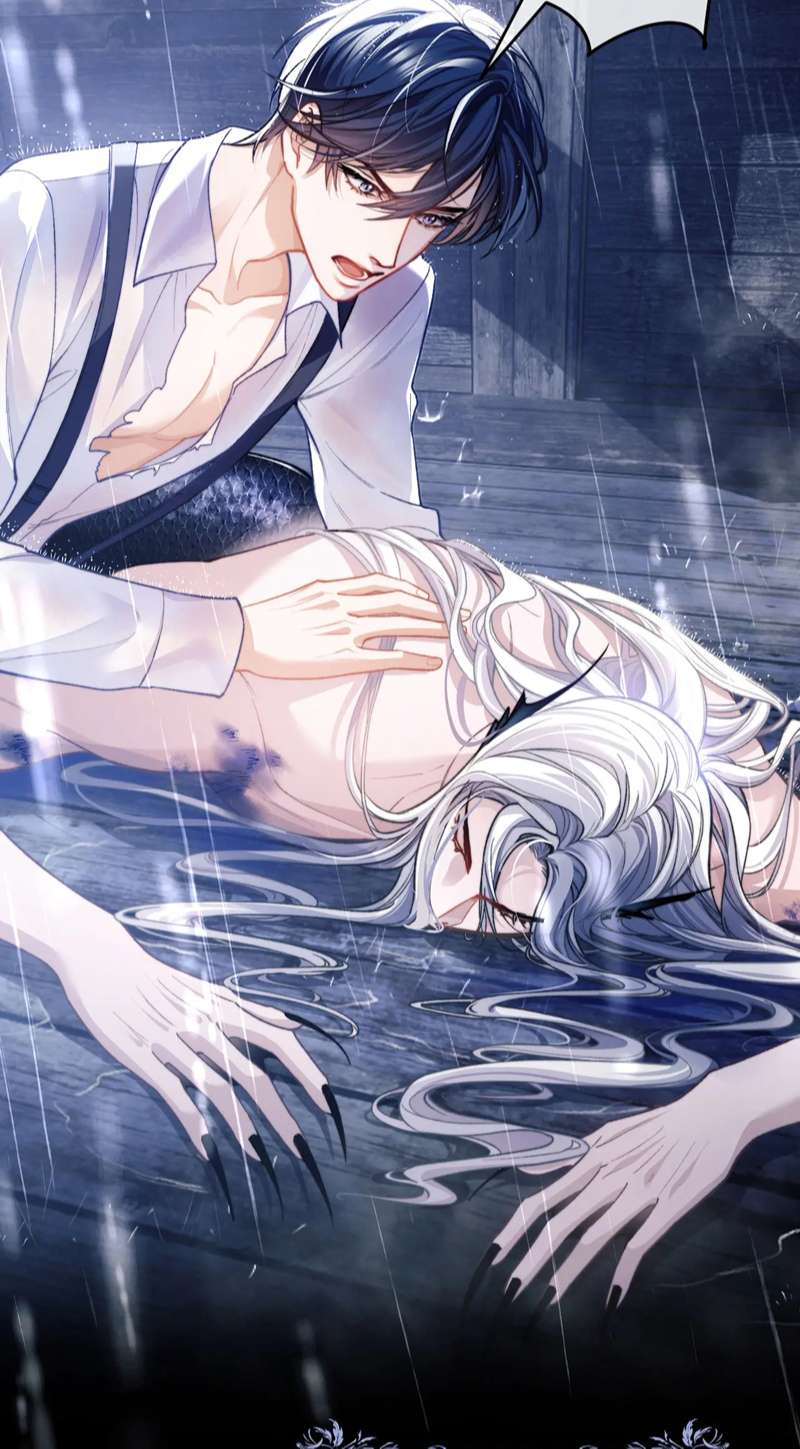 Desharow Nhân Ngư Chapter 8 - Trang 2