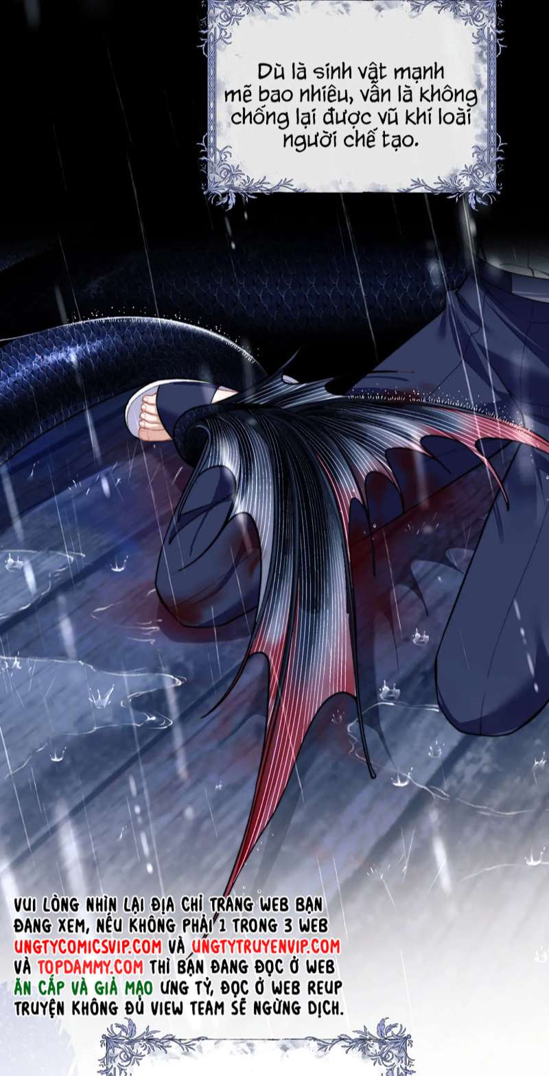 Desharow Nhân Ngư Chapter 8 - Trang 2