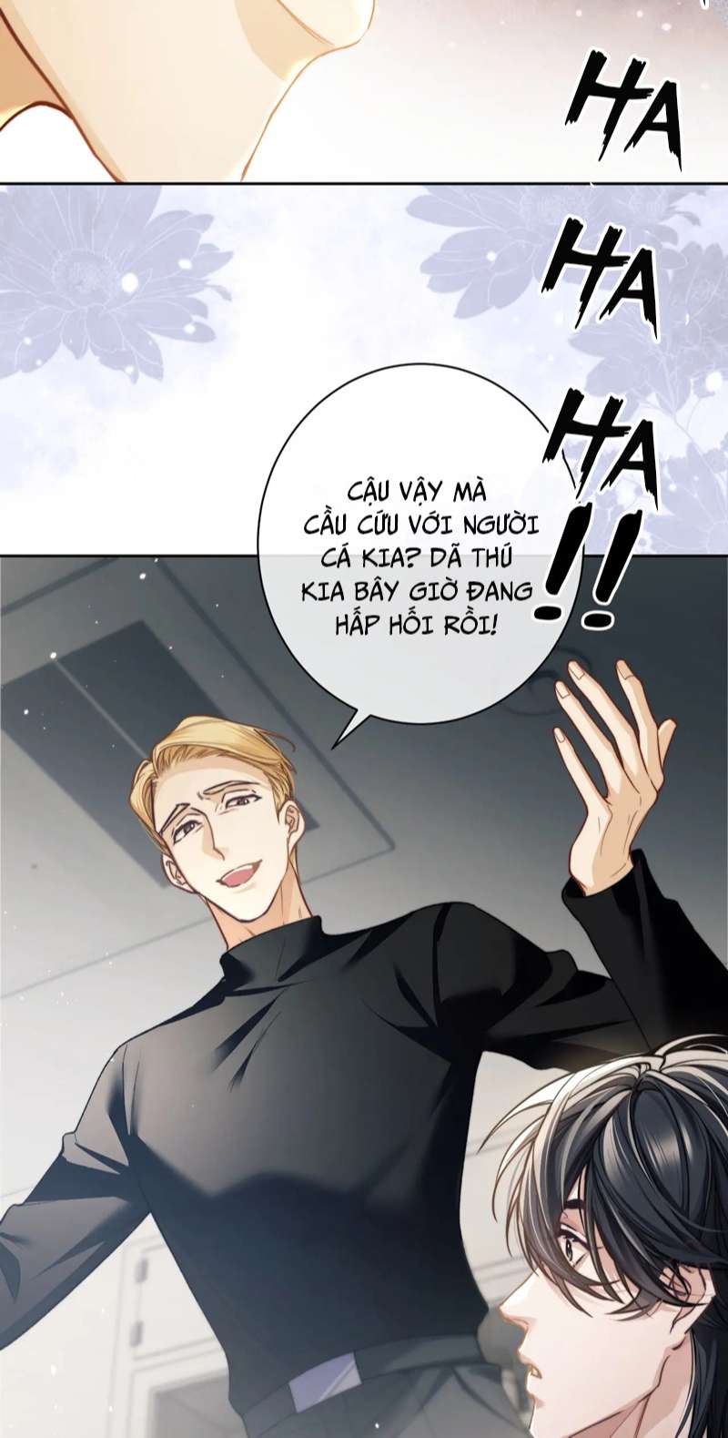 Desharow Nhân Ngư Chapter 8 - Trang 2