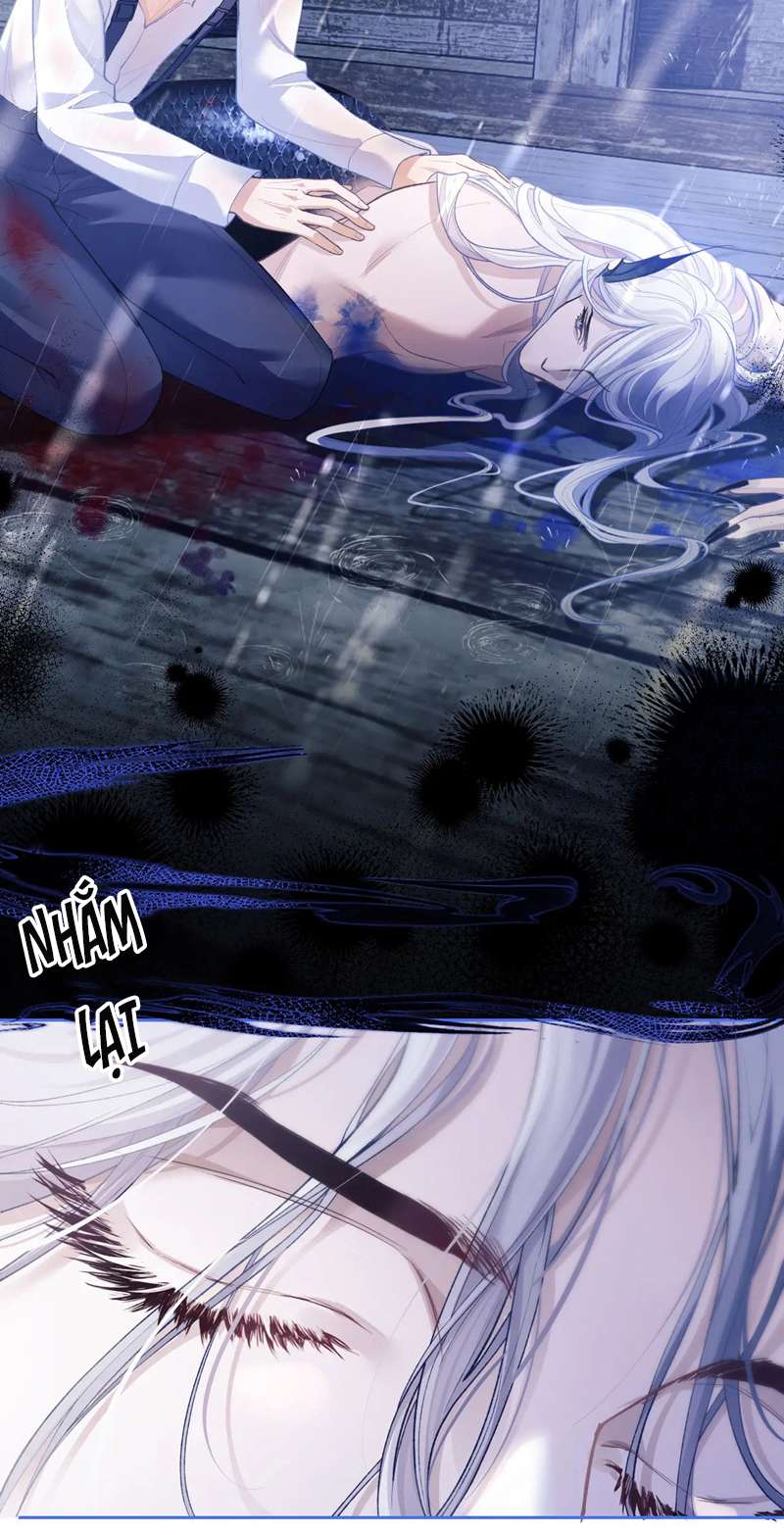 Desharow Nhân Ngư Chapter 8 - Trang 2