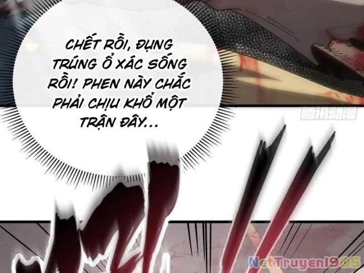 Dị Biến Giáng Lâm Nhân Gian: Kế Hoạch Thanh Trừ Người Chơi Chapter 12 - Trang 2