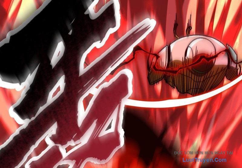 Dị Biến Giáng Lâm Nhân Gian: Kế Hoạch Thanh Trừ Người Chơi Chapter 43 - Trang 2