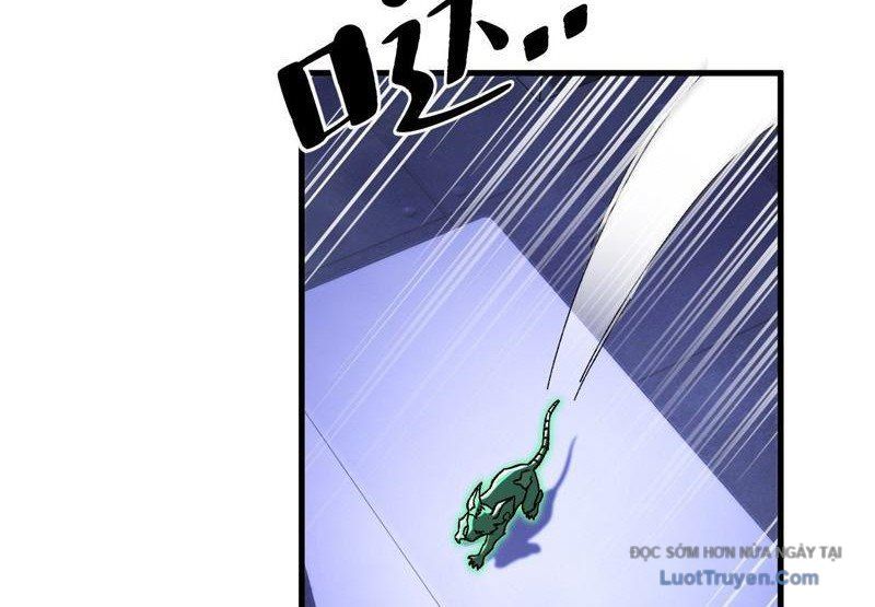 Dị Biến Giáng Lâm Nhân Gian: Kế Hoạch Thanh Trừ Người Chơi Chapter 43 - Trang 2