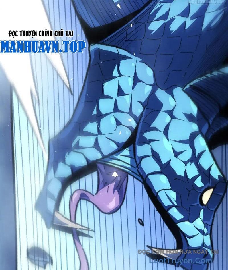Dị Biến Giáng Lâm Nhân Gian: Triệu Hoán Chi Chủ! Chapter 49 - Trang 2