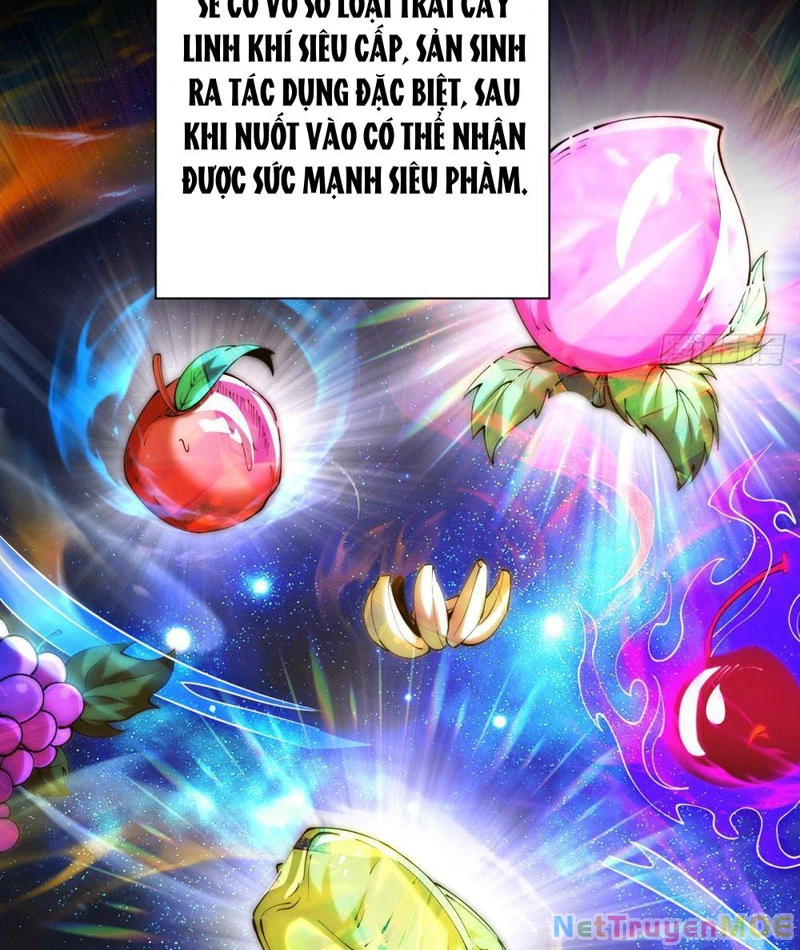 Dị Năng Trùng Sinh Ta Sớm Ở Đỉnh Cao Chapter 1 - Trang 2