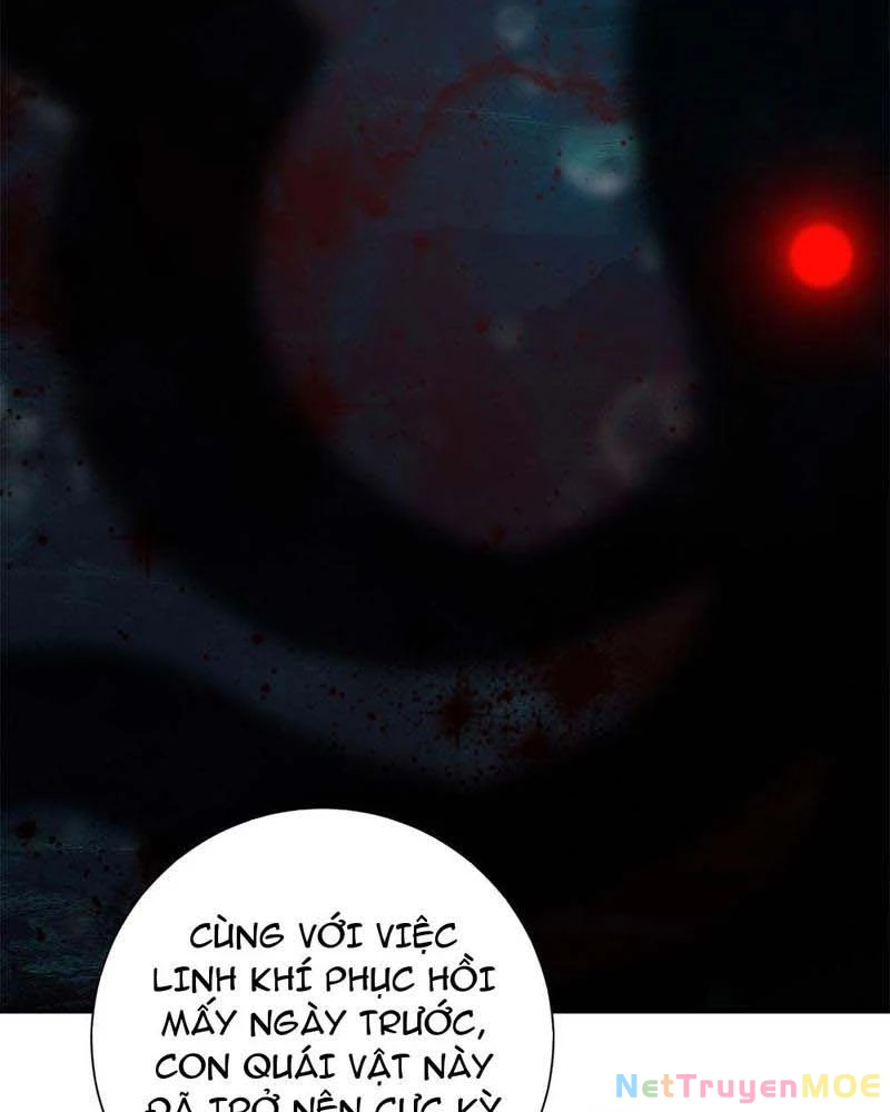 Dị Năng Trùng Sinh Ta Sớm Ở Đỉnh Cao Chapter 14 - Trang 2