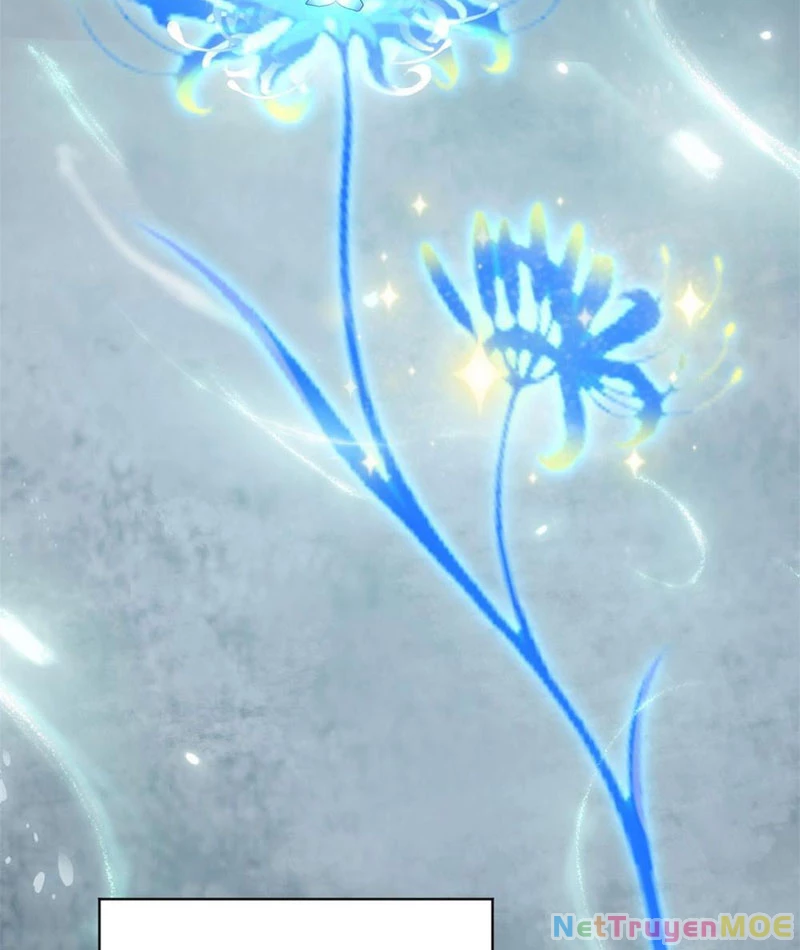 Dị Năng Trùng Sinh Ta Sớm Ở Đỉnh Cao Chapter 2 - Trang 2