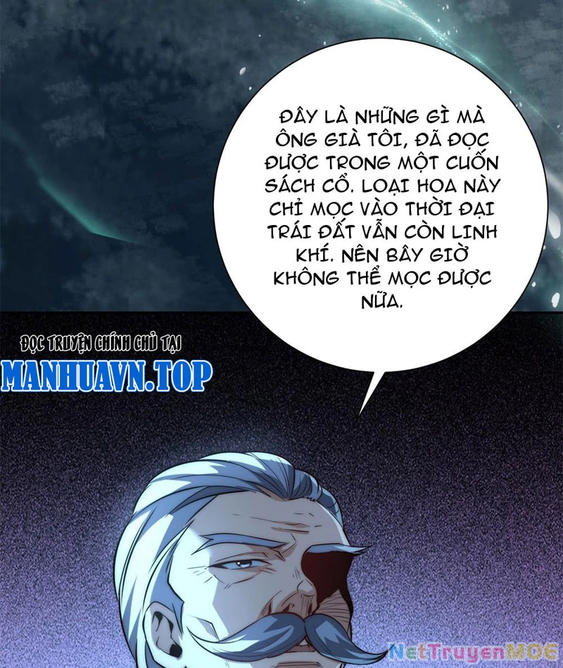 Dị Năng Trùng Sinh Ta Sớm Ở Đỉnh Cao Chapter 2 - Trang 2