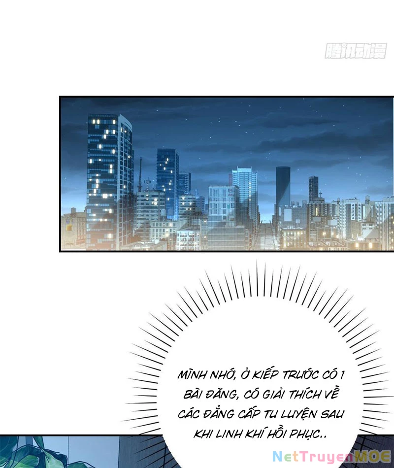 Dị Năng Trùng Sinh Ta Sớm Ở Đỉnh Cao Chapter 2 - Trang 2