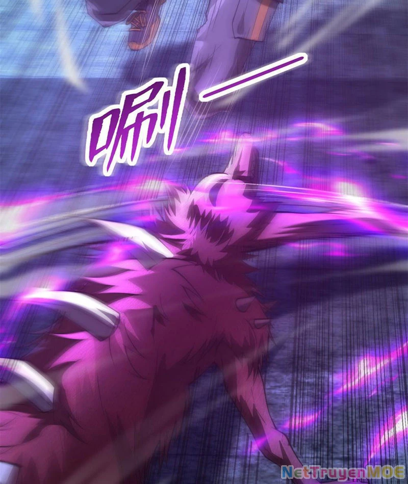 Dị Năng Trùng Sinh Ta Sớm Ở Đỉnh Cao Chapter 3 - Trang 2