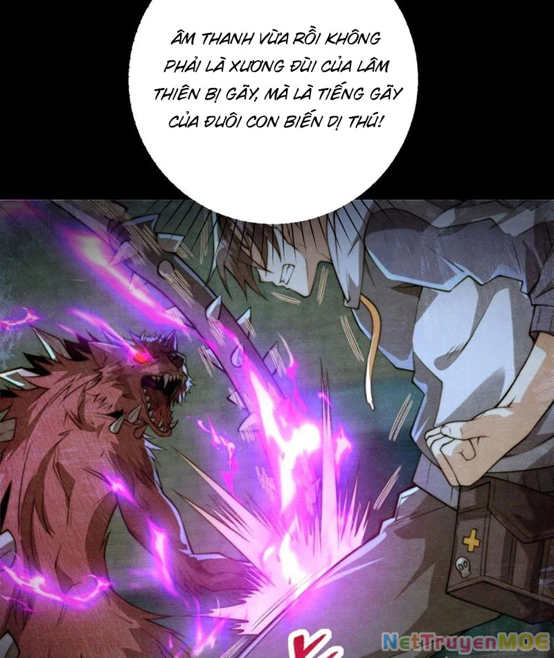 Dị Năng Trùng Sinh Ta Sớm Ở Đỉnh Cao Chapter 3 - Trang 2