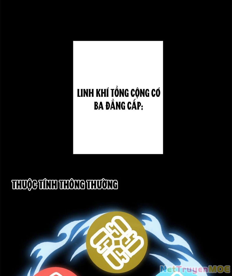 Dị Năng Trùng Sinh Ta Sớm Ở Đỉnh Cao Chapter 4 - Trang 2