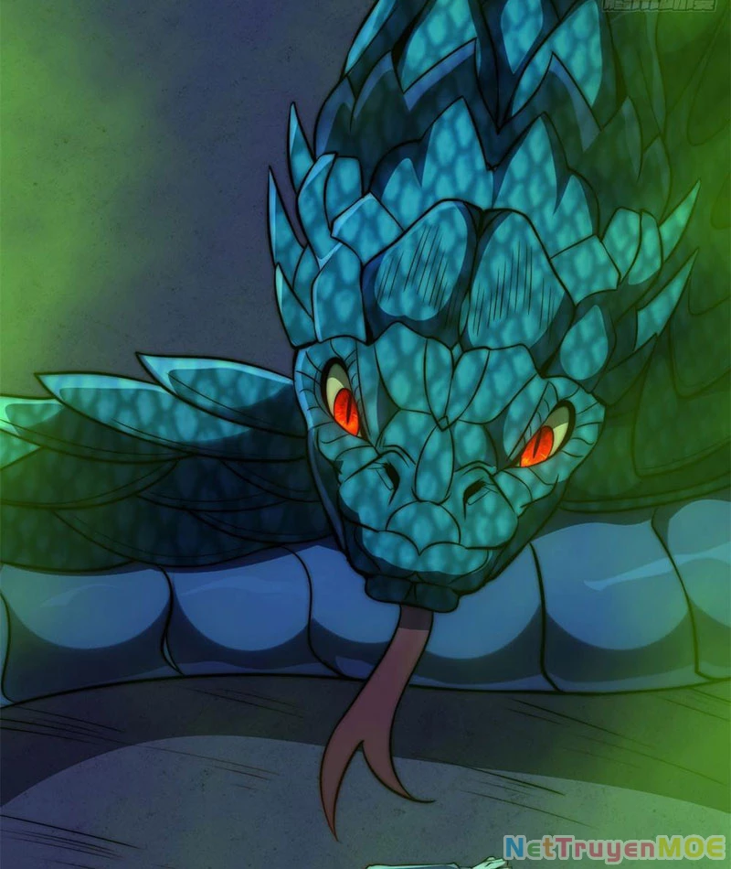 Dị Năng Trùng Sinh Ta Sớm Ở Đỉnh Cao Chapter 5 - Trang 2