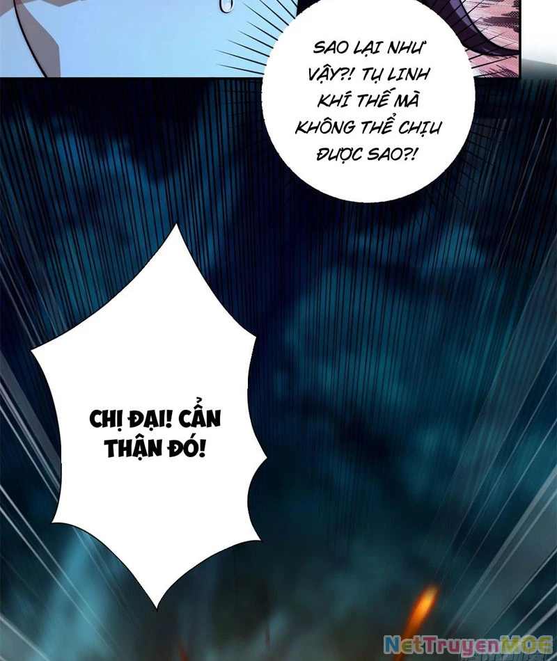 Dị Năng Trùng Sinh Ta Sớm Ở Đỉnh Cao Chapter 5 - Trang 2