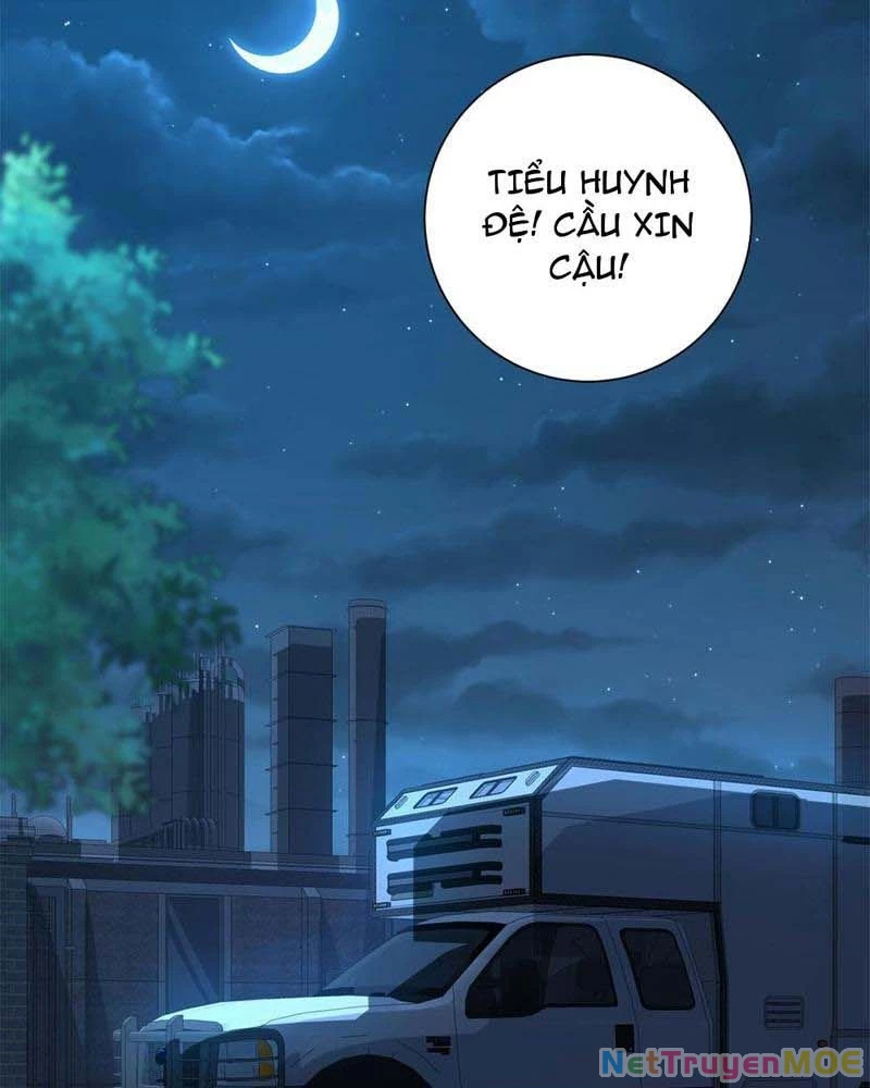 Dị Năng Trùng Sinh Ta Sớm Ở Đỉnh Cao Chapter 6 - Trang 2