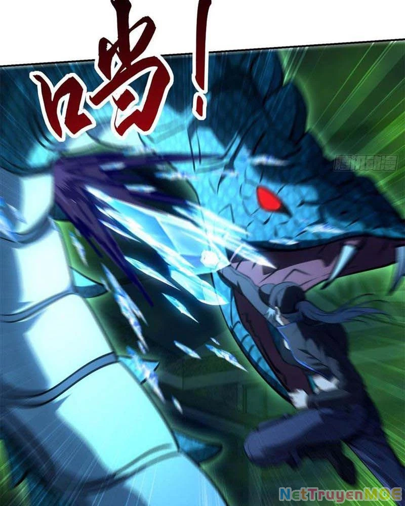 Dị Năng Trùng Sinh Ta Sớm Ở Đỉnh Cao Chapter 6 - Trang 2