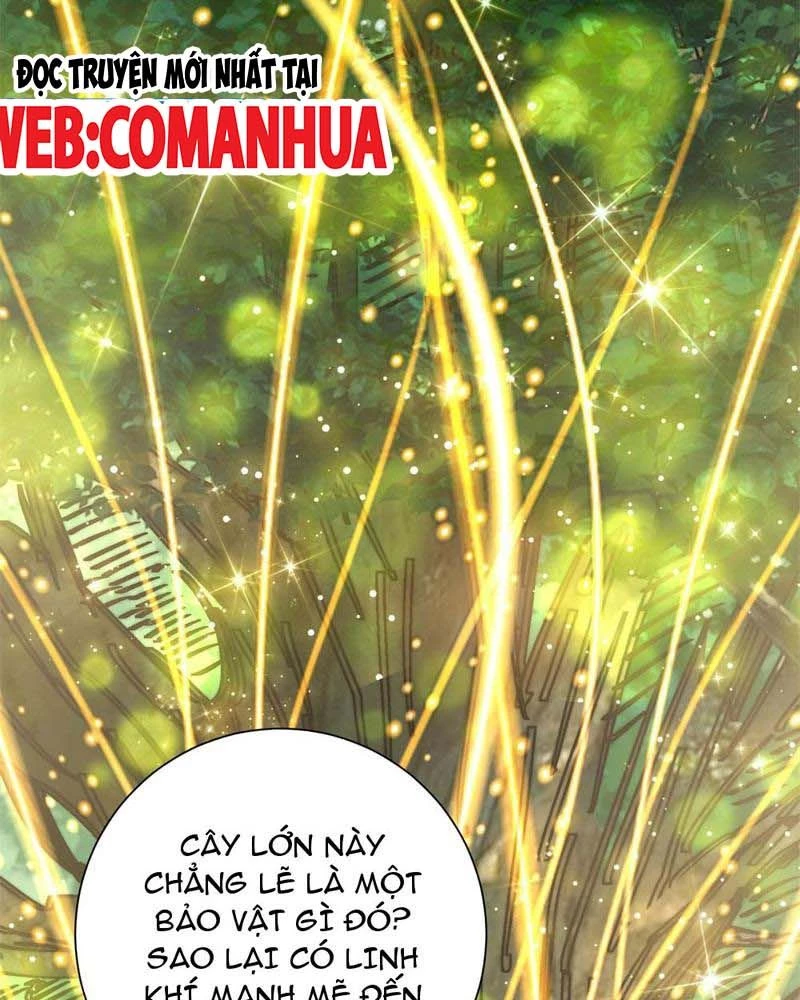 Dị Năng Trùng Sinh Ta Sớm Ở Đỉnh Cao Chapter 8 - Trang 2