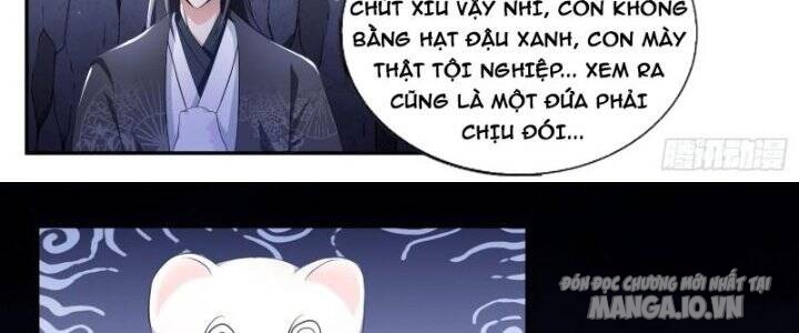 Dị Thế Tà Quân Chapter 195 - Trang 2