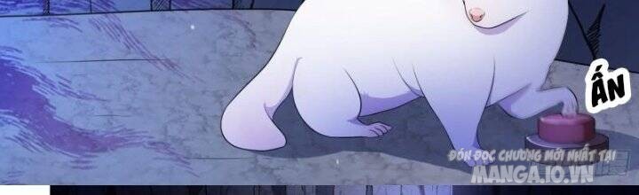 Dị Thế Tà Quân Chapter 195 - Trang 2