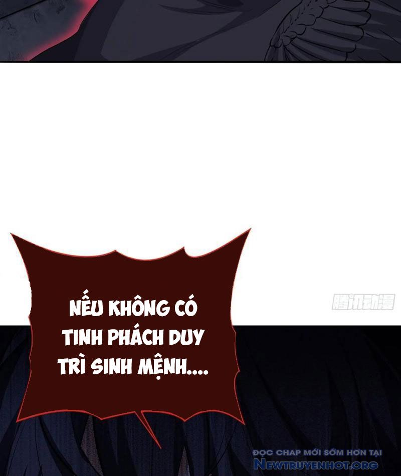 Dị Thú Của Ta Chỉ Có Trăm Triệu Điểm Cao Chapter 45 - Trang 2