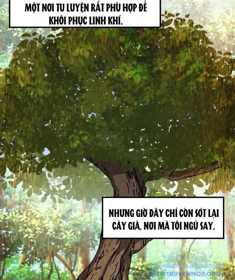 Dị Thú Của Ta Chỉ Có Trăm Triệu Điểm Cao Chapter 45 - Trang 2