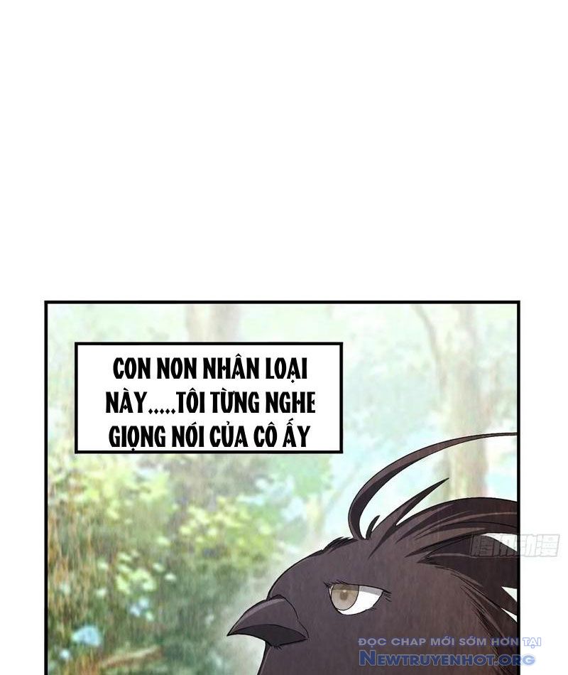 Dị Thú Của Ta Chỉ Có Trăm Triệu Điểm Cao Chapter 45 - Trang 2