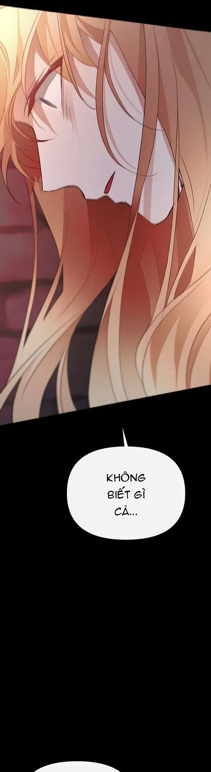 Đi Tìm Ác Nữ Đã Cùng Trải Qua Đêm Đầu Tiên Chapter 22 - Trang 2