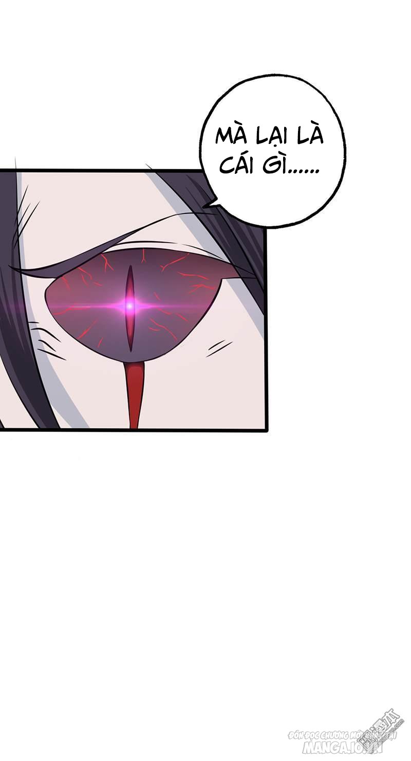 Địa Ngục Này Ta Mở Ra Đấy Chapter 31 - Trang 2