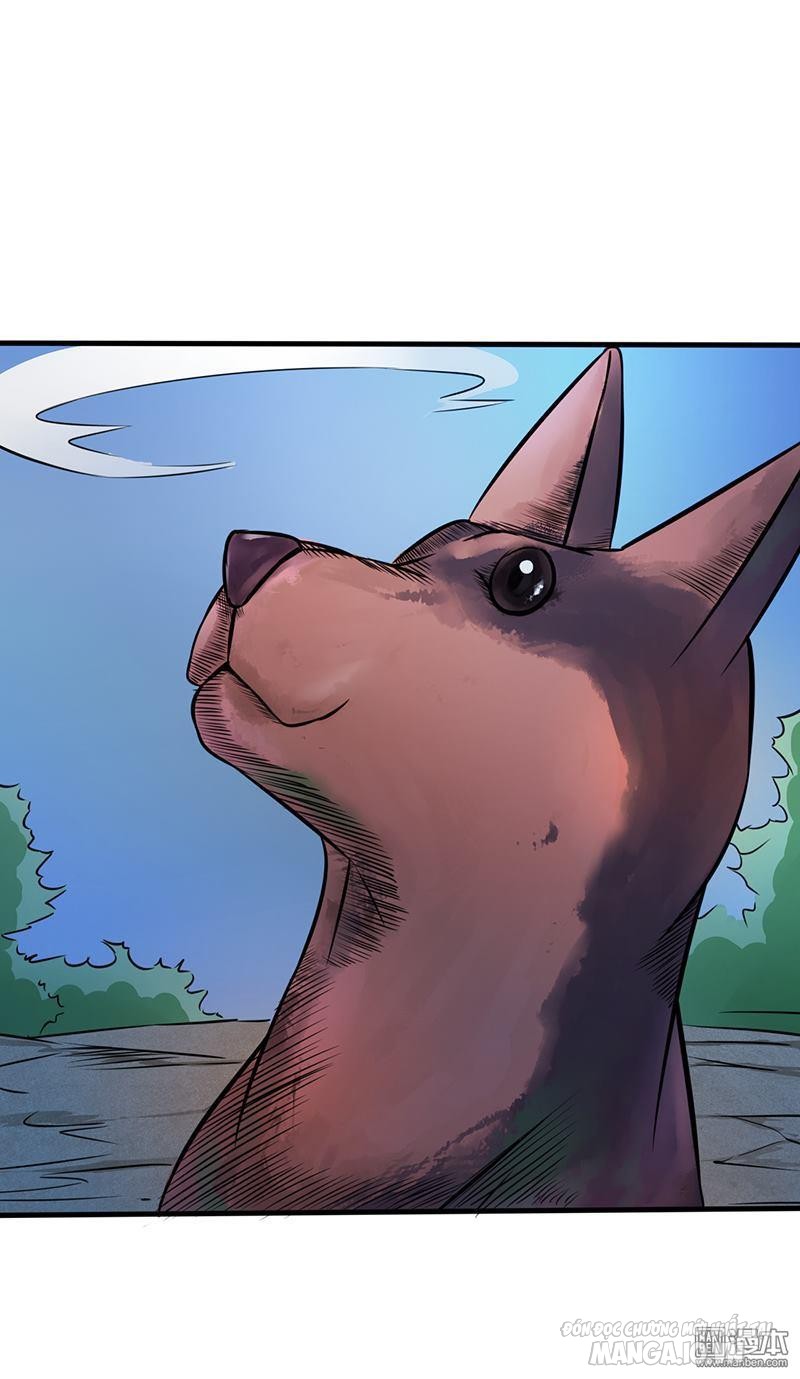 Địa Ngục Này Ta Mở Ra Đấy Chapter 56 - Trang 2